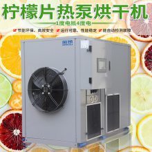 高效节能的果蔬烘干机 柠檬片、蓝莓、芒果、槟榔等水果干制作利器