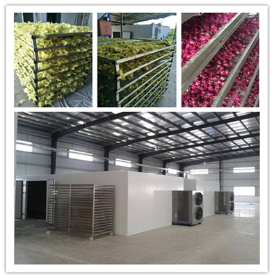 石家庄宏涛蔬菜食品干燥机 果蔬烘干设备价格解析与选购指南