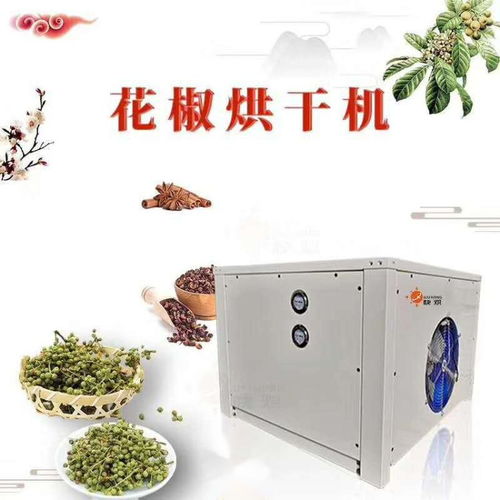 厦门果蔬烘干机市场价格分析与选购指南