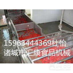 果蔬清洗与烘干设备全解析 从气泡清洗到高效烘干