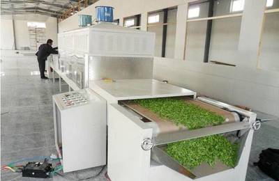 微波蔬菜烘干机 果蔬脱水干燥与杀菌的现代化设备