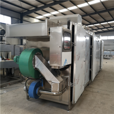 SDN-800果蔬烘干机 健康饮食的得力助手